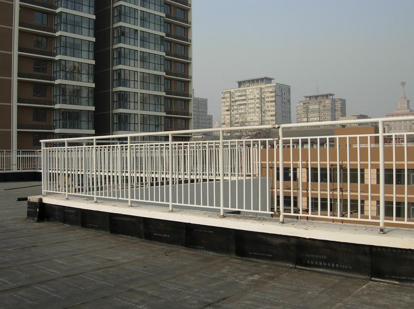 大氣可靠、戶外、公路、公園用鐵藝護(hù)欄
